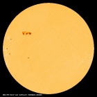 SDO/HMI Continuum Image of the Sun